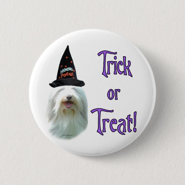 Bearded Collie Trick Pinback Button (Front)
