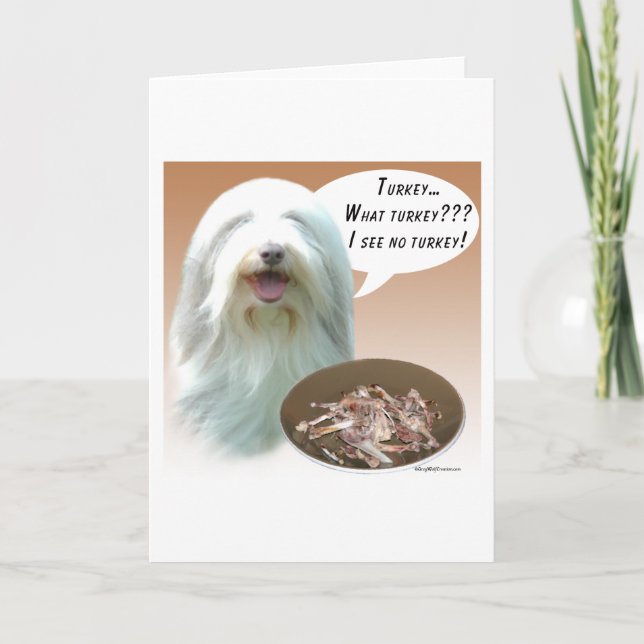 Bearded Collie Turkey Holiday Card (Front)