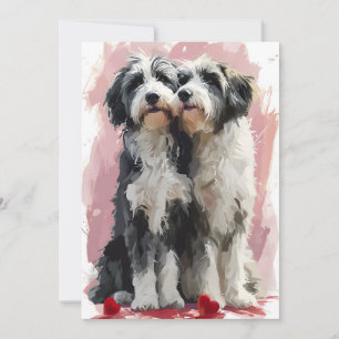 Bearded Collie Valentine's day Holiday Card