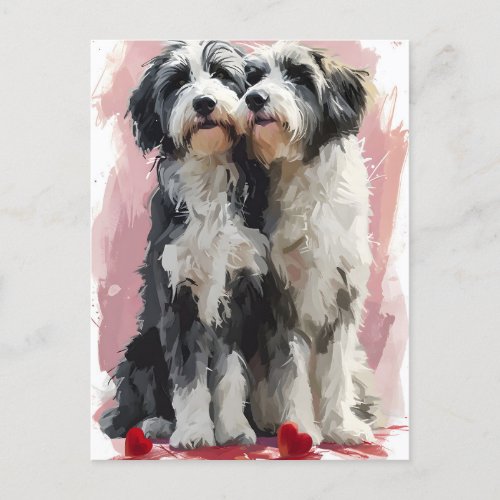 Bearded Collie Valentines day  Postcard