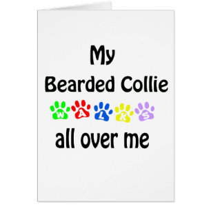 Bearded Collie Walks Design Cards