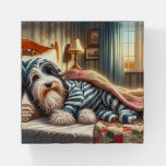 Bearded Collie Wearing Striped Pajamas Paperweight