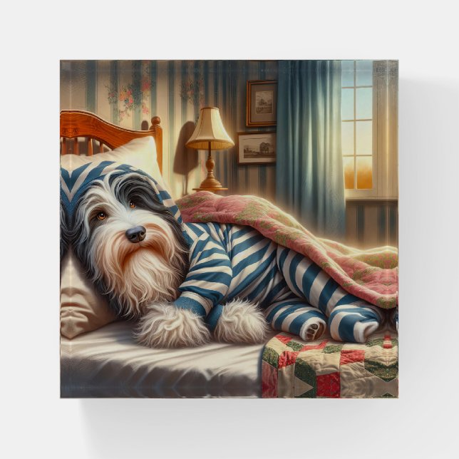 Bearded Collie Wearing Striped Pajamas Paperweight (Front)