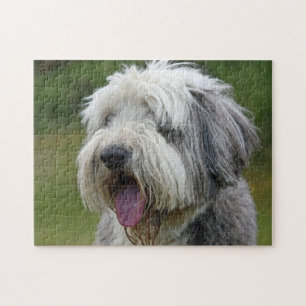 Bearded Collie with tongue out  Jigsaw Puzzle