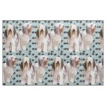 Bearded Collies and paw prints fabric