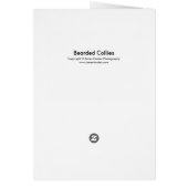Bearded Collies Cards (Back)