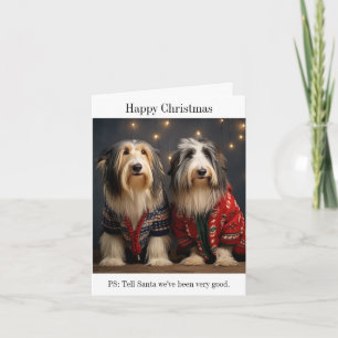 Bearded Collies Happy Christmas Card