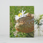 Bearded dragon (Standing Front)