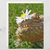 Bearded dragon (Front/Back)