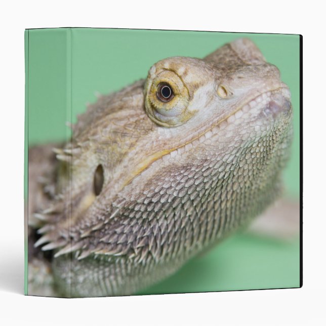 Bearded dragon 2 binder (Front/Spine)