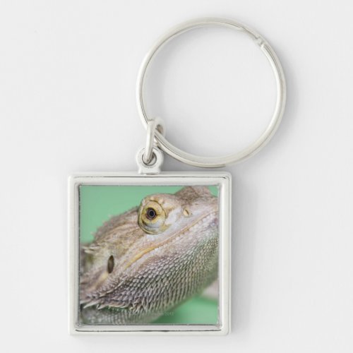 Bearded dragon 2 keychain