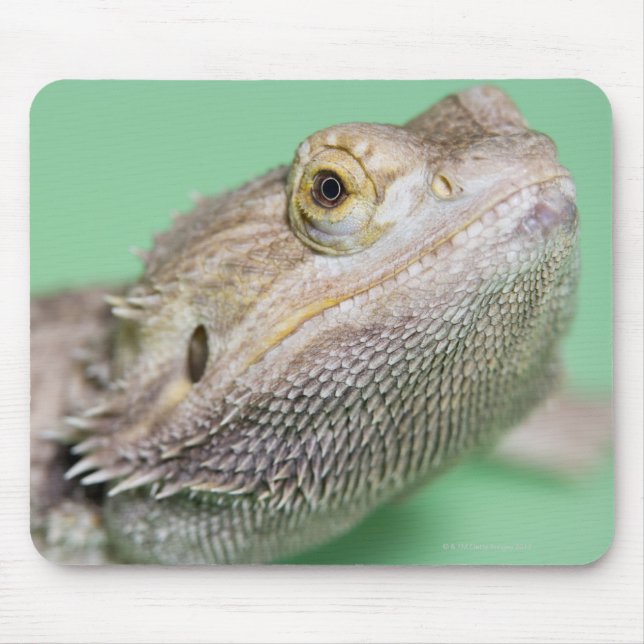 Bearded dragon 2 mouse pad (Front)
