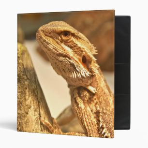 Bearded Dragon 3 Ring Binder