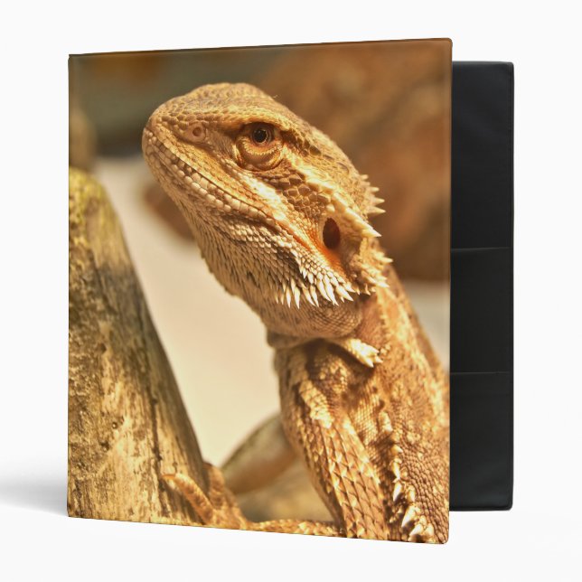 Bearded Dragon 3 Ring Binder (Front/Inside)