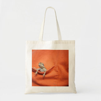 bearded dragon bag