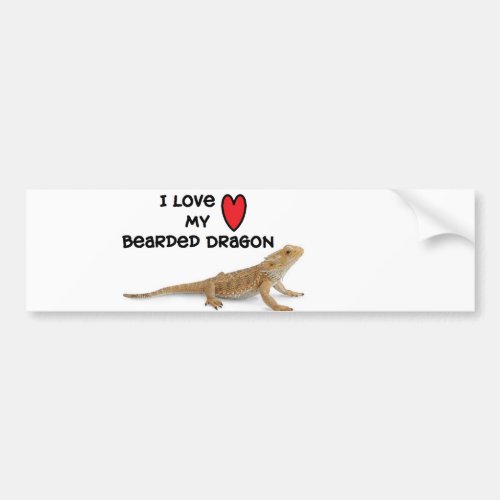 Bearded dragon Bumper Sticker