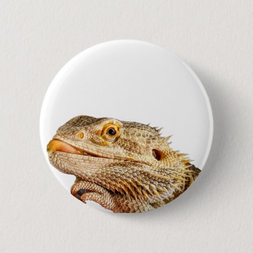 Bearded Dragon Button