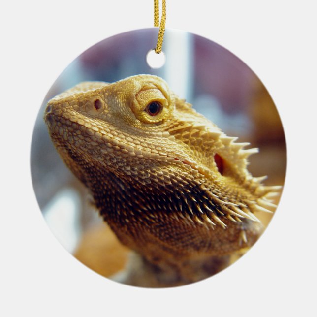 Bearded Dragon Ceramic Ornament (Front)