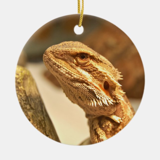 Bearded Dragon Ceramic Ornament (Front)