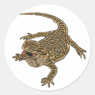 Bearded Dragon Classic Round Sticker