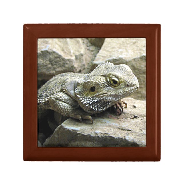 Bearded Dragon Gift Box (Front)