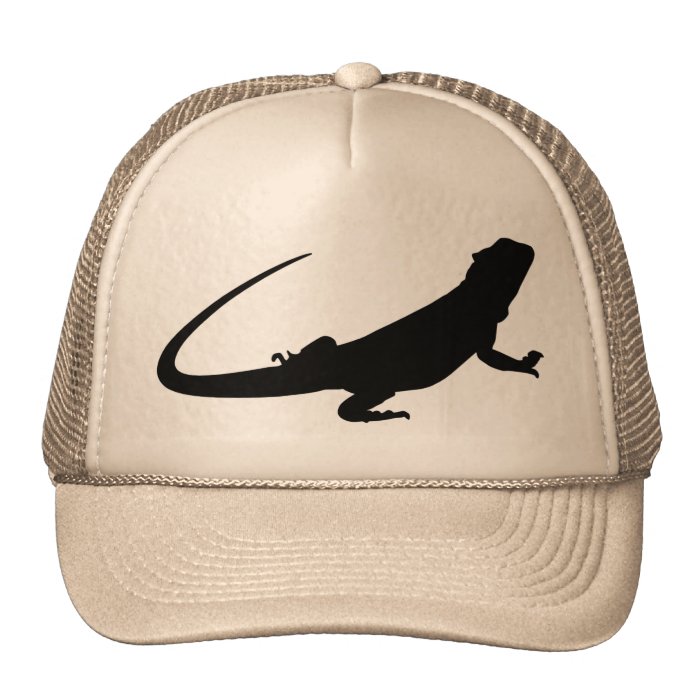 Bearded Dragon has Hats