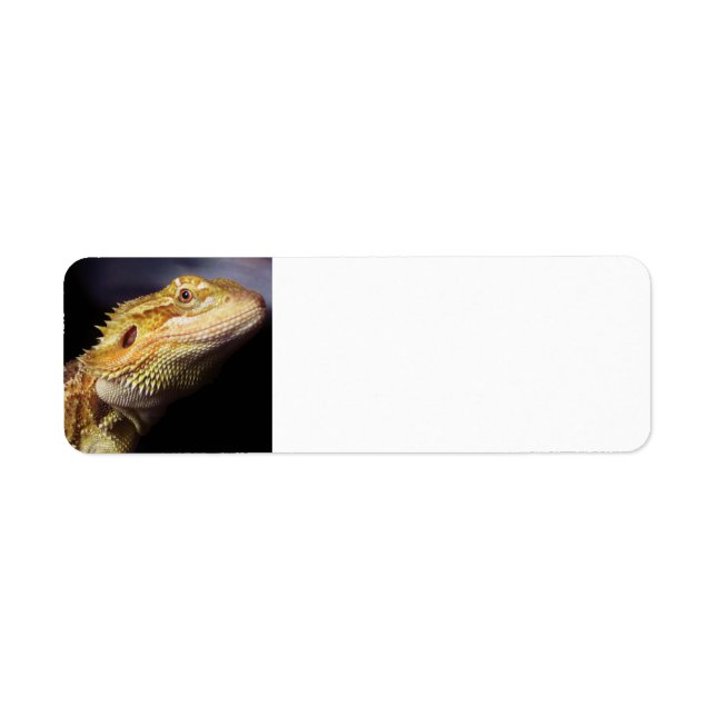 Bearded Dragon Head 2 Label (Front)