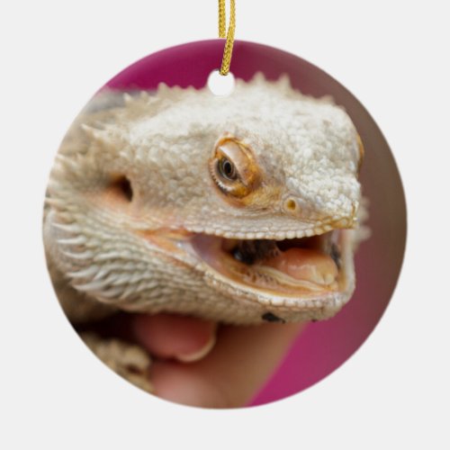 bearded dragon in the hand christmas ornament