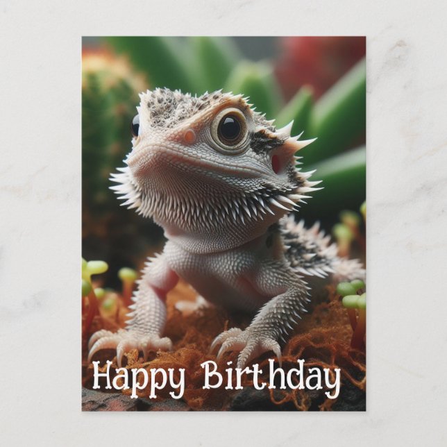 Bearded Dragon in the Moss Garden Happy Birthday Postcard (Front)