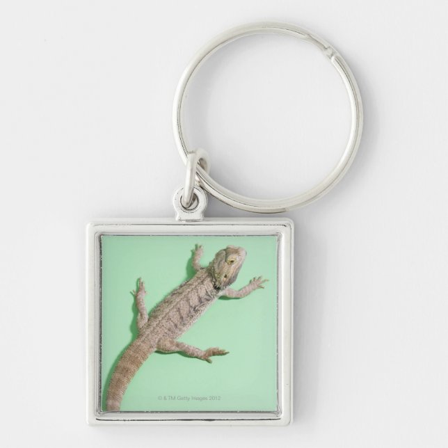 Bearded dragon keychain (Front)