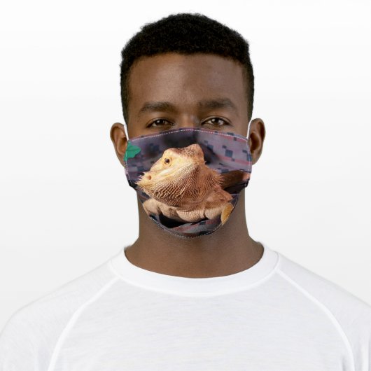 Bearded Dragon mask (Worn)