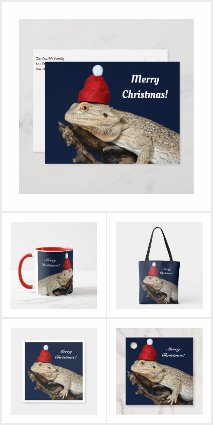 Bearded Dragon - Merry Christmas