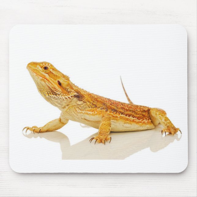 Bearded Dragon Mouse Pad (Front)