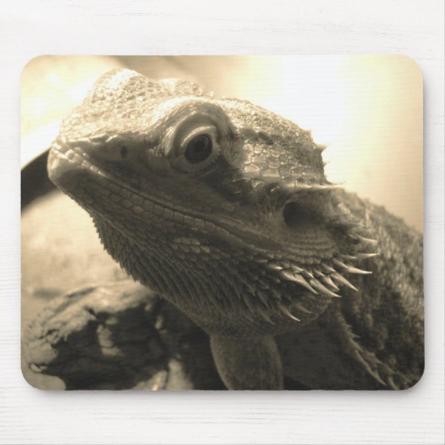 Bearded Dragon Mouse Pad (Front)
