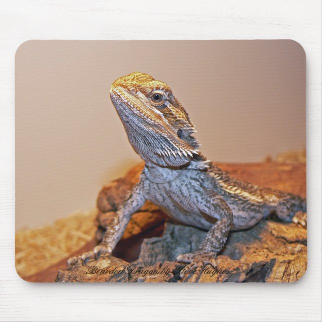 Bearded Dragon Mousepad (Front)