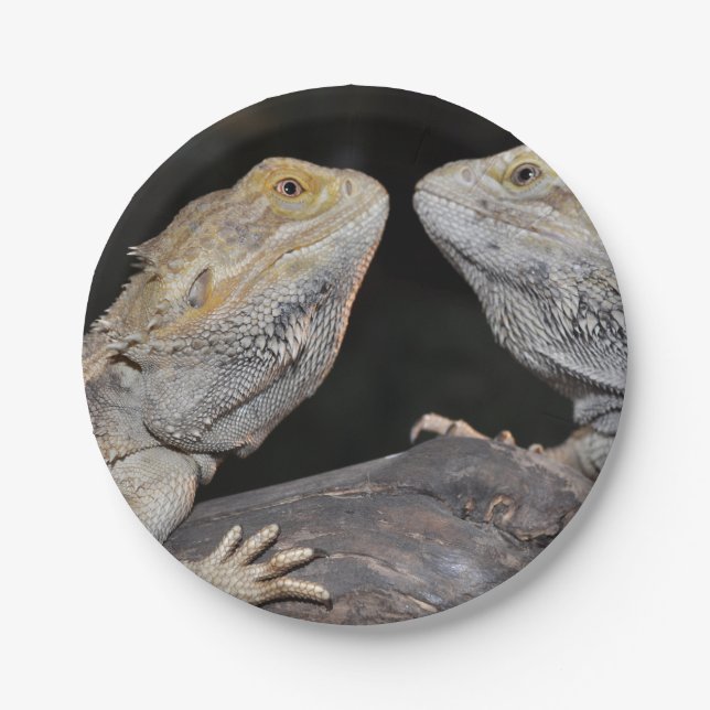 Bearded dragon paper plates (Front)
