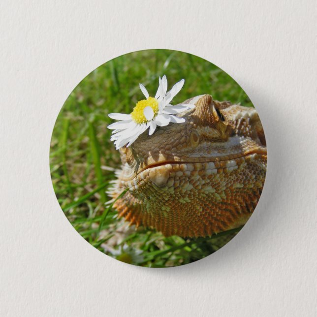 Bearded dragon pinback button (Front)
