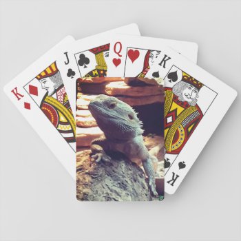 Bearded Dragon Playing Cards by MarblesPictures at Zazzle
