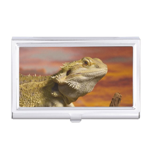 Bearded dragon (Pogona Vitticeps) on branch, Business Card Holder (Front)