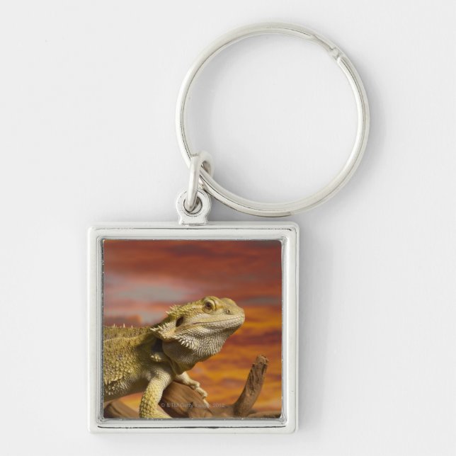 Bearded dragon (Pogona Vitticeps) on branch, Keychain (Front)
