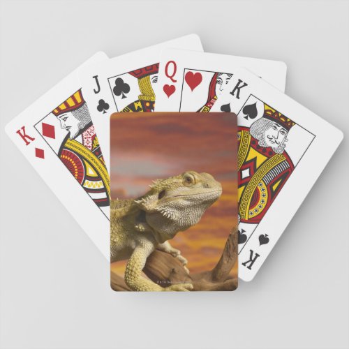Bearded dragon Pogona Vitticeps on branch Playing Cards