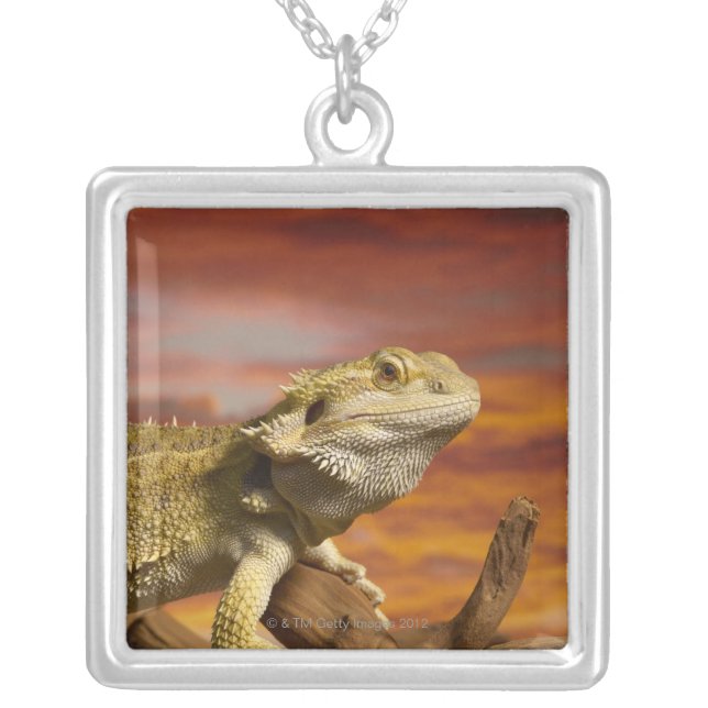 Bearded dragon (Pogona Vitticeps) on branch, Silver Plated Necklace (Front)
