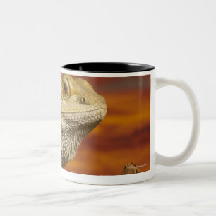 Bearded dragon (Pogona Vitticeps) on branch, Two-Tone Coffee Mug