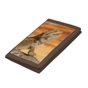 Bearded dragon (Pogona Vitticeps) on rock, Tri-fold Wallet
