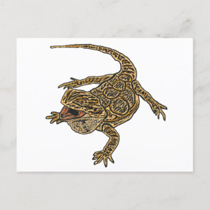 Bearded Dragon Postcard