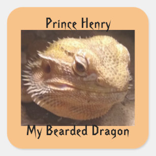 Merida the Bearded Dragon' Sticker