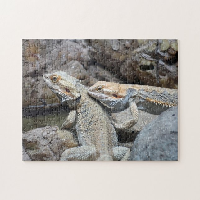 Bearded Dragons Jigsaw Puzzle (Horizontal)