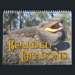 Bearded Dragons Wall Calendar<br><div class="desc">Featuring twelve high-resolution photos of these amazing reptiles.</div>