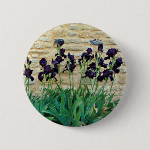 Bearded Iris Badge Button