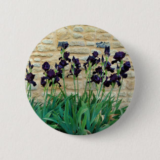 Bearded Iris Badge Button